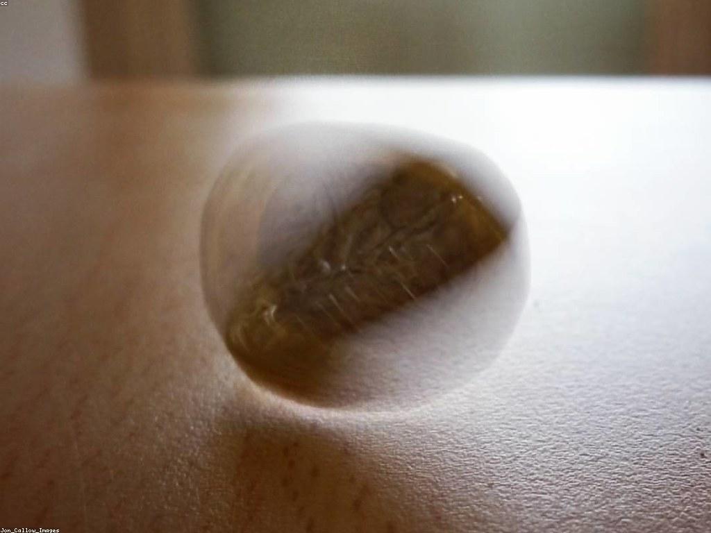 យុទ្ធសាស្ត្រដែលអាចជួយបង្កើនឱកាសឈ្នះជាមួយ Free Spins